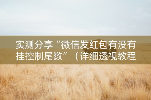 实测分享“微信发红包有没有挂控制尾数”（详细透视教程）-哔哩哔哩