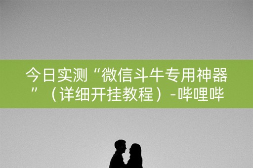 今日实测“微信斗牛专用神器”（详细开挂教程）-哔哩哔哩