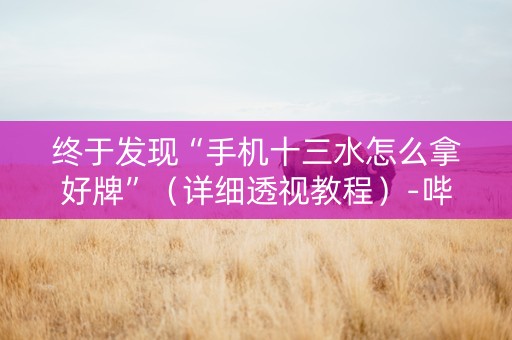 终于发现“手机十三水怎么拿好牌”（详细透视教程）-哔哩哔哩