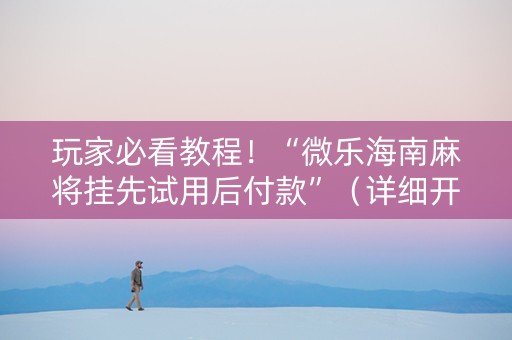 玩家必看教程！“微乐海南麻将挂先试用后付款”（详细开挂教程）-哔哩哔哩