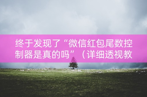 终于发现了“微信红包尾数控制器是真的吗”（详细透视教程）-哔哩哔哩