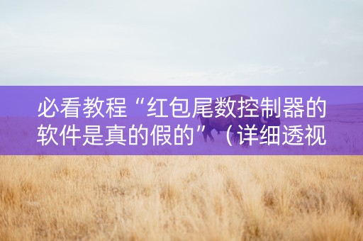 必看教程“红包尾数控制器的软件是真的假的”（详细透视教程）-哔哩哔哩