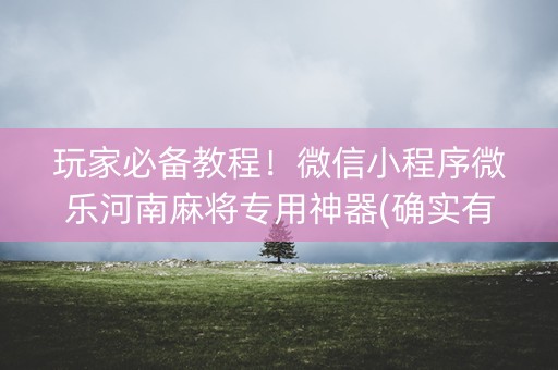 玩家必备教程！微信小程序微乐河南麻将专用神器(确实有挂吗)