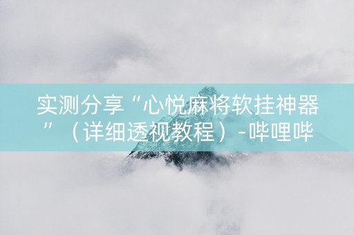 实测分享“心悦麻将软挂神器”（详细透视教程）-哔哩哔哩