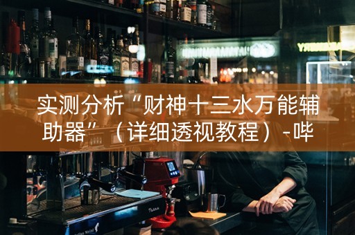实测分析“财神十三水万能辅助器”（详细透视教程）-哔哩哔哩