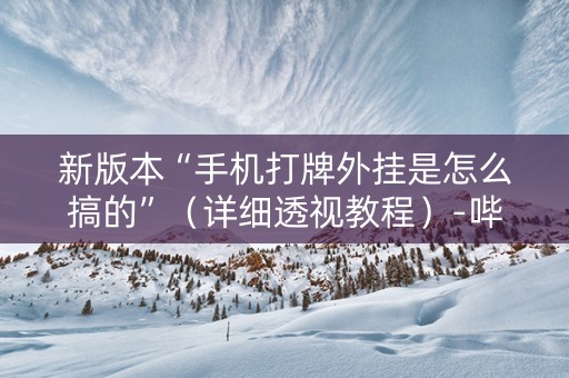 新版本“手机打牌外挂是怎么搞的”（详细透视教程）-哔哩哔哩