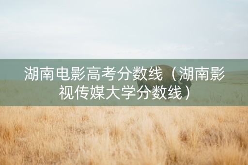 湖南电影高考分数线（湖南影视传媒大学分数线）