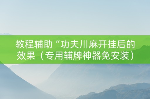 教程辅助“功夫川麻开挂后的效果（专用辅牌神器免安装）