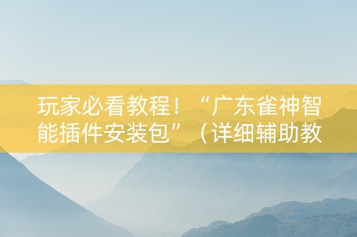 玩家必看教程！“广东雀神智能插件安装包”（详细辅助教程）-哔哩哔哩