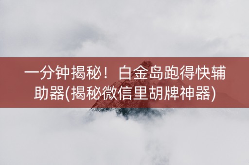 一分钟揭秘！白金岛跑得快辅助器(揭秘微信里胡牌神器)
