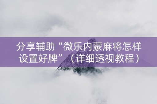 分享辅助“微乐内蒙麻将怎样设置好牌”（详细透视教程）-哔哩哔哩