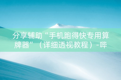分享辅助“手机跑得快专用算牌器”（详细透视教程）-哔哩哔哩
