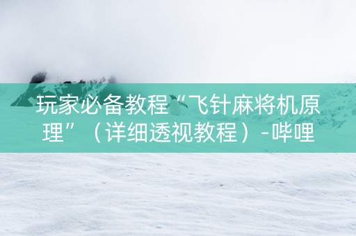 玩家必备教程“飞针麻将机原理”（详细透视教程）-哔哩哔哩