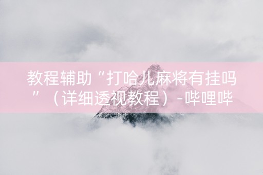 教程辅助“打哈儿麻将有挂吗”（详细透视教程）-哔哩哔哩