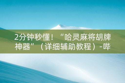 2分钟秒懂！“哈灵麻将胡牌神器”（详细辅助教程）-哔哩哔哩