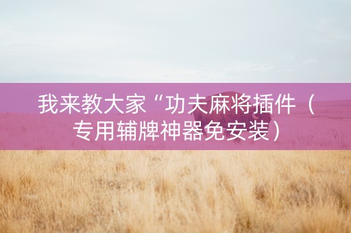 我来教大家“功夫麻将插件（专用辅牌神器免安装）