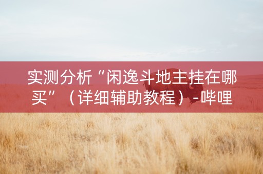 实测分析“闲逸斗地主挂在哪买”（详细辅助教程）-哔哩哔哩