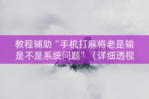 教程辅助“手机打麻将老是输是不是系统问题”（详细透视教程）-哔哩哔哩