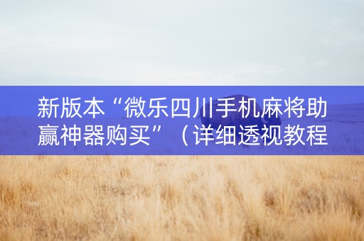 新版本“微乐四川手机麻将助赢神器购买”（详细透视教程）-哔哩哔哩