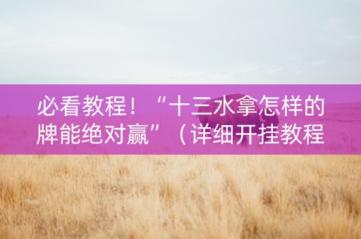 必看教程！“十三水拿怎样的牌能绝对赢”（详细开挂教程）-哔哩哔哩
