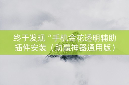 终于发现“手机金花透明辅助插件安装（助赢神器通用版）