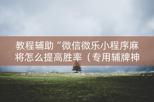 教程辅助“微信微乐小程序麻将怎么提高胜率（专用辅牌神器免安装）