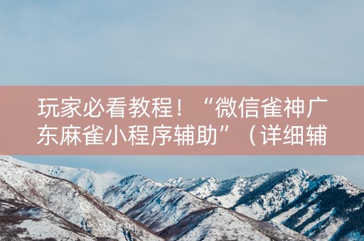 玩家必看教程！“微信雀神广东麻雀小程序辅助”（详细辅助教程）-哔哩哔哩