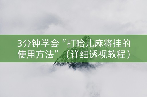 3分钟学会“打哈儿麻将挂的使用方法”（详细透视教程）-哔哩哔哩