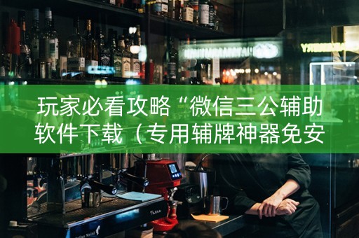 玩家必看攻略“微信三公辅助软件下载（专用辅牌神器免安装）
