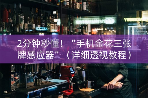 2分钟秒懂！“手机金花三张牌感应器”（详细透视教程）-哔哩哔哩