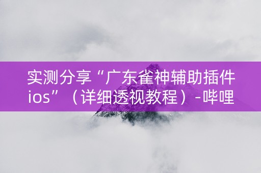 实测分享“广东雀神辅助插件ios”（详细透视教程）-哔哩哔哩