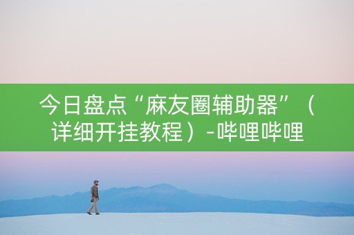 今日盘点“麻友圈辅助器”（详细开挂教程）-哔哩哔哩