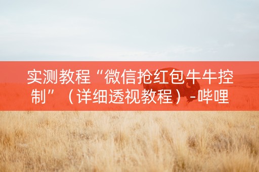 实测教程“微信抢红包牛牛控制”（详细透视教程）-哔哩哔哩