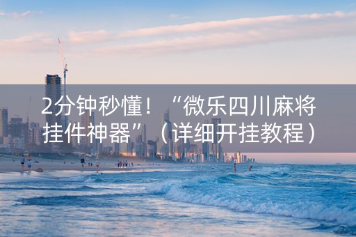 2分钟秒懂！“微乐四川麻将挂件神器”（详细开挂教程）-哔哩哔哩