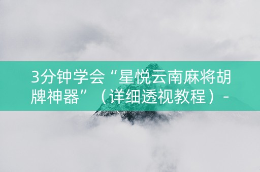 3分钟学会“星悦云南麻将胡牌神器”（详细透视教程）-哔哩哔哩