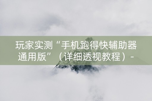 玩家实测“手机跑得快辅助器通用版”（详细透视教程）-哔哩哔哩