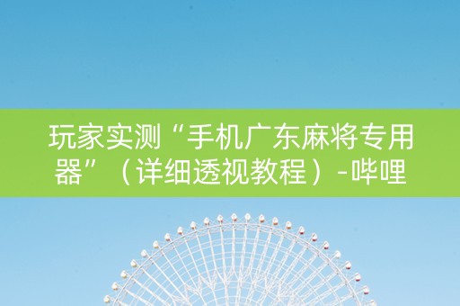 玩家实测“手机广东麻将专用器”（详细透视教程）-哔哩哔哩