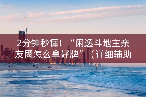 2分钟秒懂！“闲逸斗地主亲友圈怎么拿好牌”（详细辅助教程）-哔哩哔哩