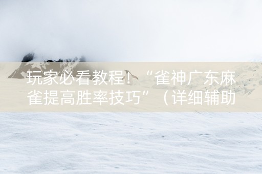 玩家必看教程！“雀神广东麻雀提高胜率技巧”（详细辅助教程）-哔哩哔哩
