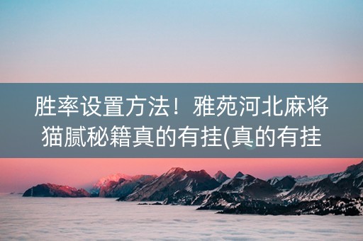 胜率设置方法！雅苑河北麻将猫腻秘籍真的有挂(真的有挂)