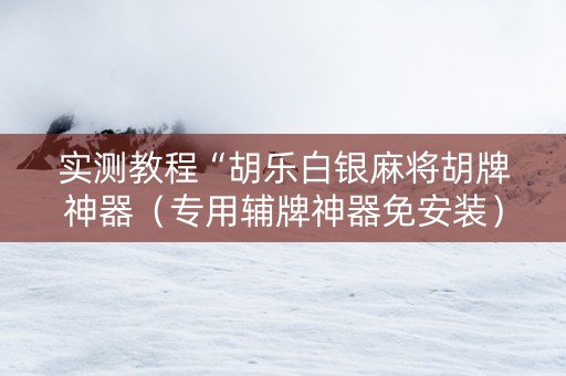 实测教程“胡乐白银麻将胡牌神器（专用辅牌神器免安装）
