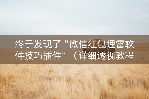 终于发现了“微信红包埋雷软件技巧插件”（详细透视教程）-哔哩哔哩