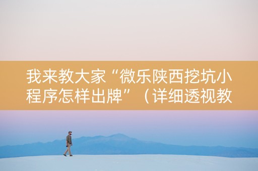 我来教大家“微乐陕西挖坑小程序怎样出牌”（详细透视教程）-哔哩哔哩
