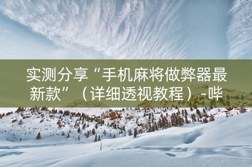 实测分享“手机麻将做弊器最新款”（详细透视教程）-哔哩哔哩