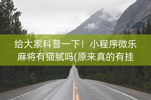 给大家科普一下！小程序微乐麻将有猫腻吗(原来真的有挂呢)