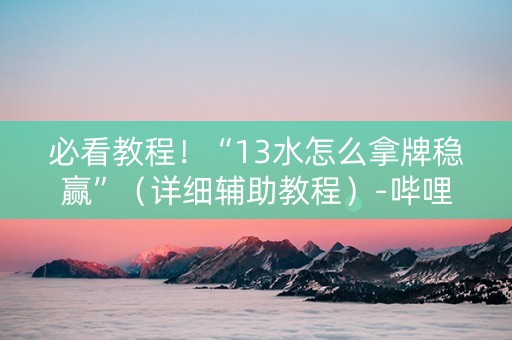 必看教程！“13水怎么拿牌稳赢”（详细辅助教程）-哔哩哔哩