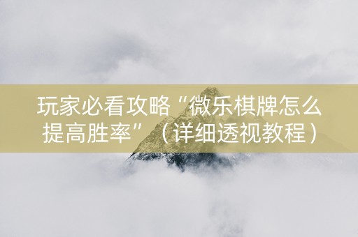 玩家必看攻略“微乐棋牌怎么提高胜率”（详细透视教程）-哔哩哔哩