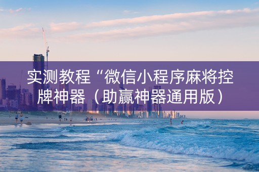 实测教程“微信小程序麻将控牌神器（助赢神器通用版）