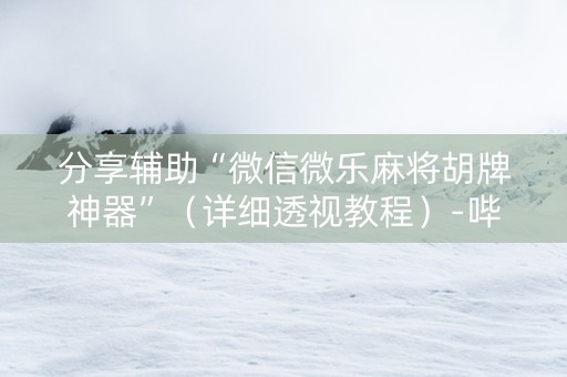 分享辅助“微信微乐麻将胡牌神器”（详细透视教程）-哔哩哔哩