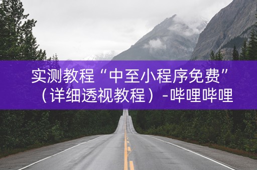 实测教程“中至小程序免费”（详细透视教程）-哔哩哔哩